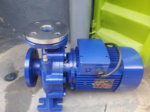 Stainless Surface Water Pump