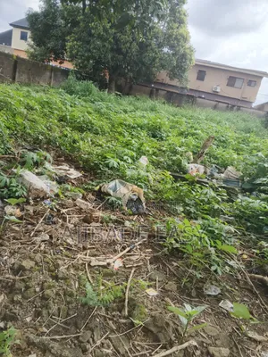 Standard Full Plot of Land Fence Gated Compound for Sale in Ayobo