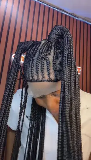Braided Wig