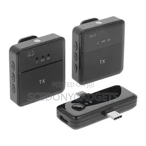 Wireless Mic Sx31