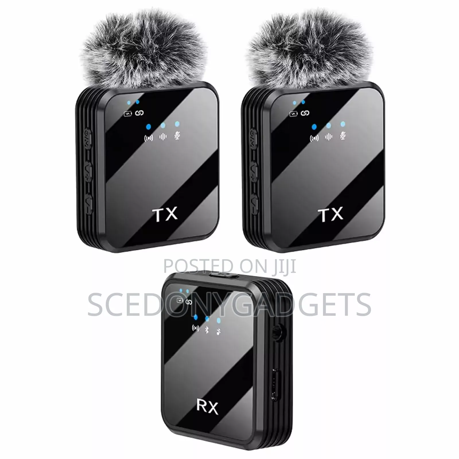 Wireless Mic