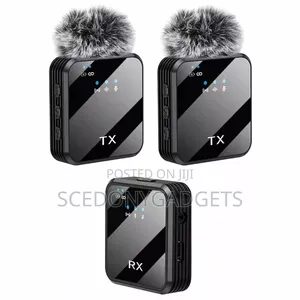 Wireless Mic