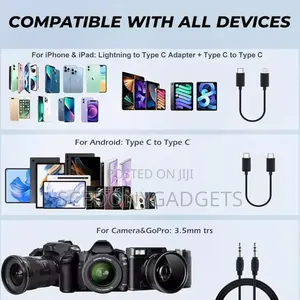 Wireless Mic
