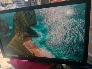 Dell Monitor