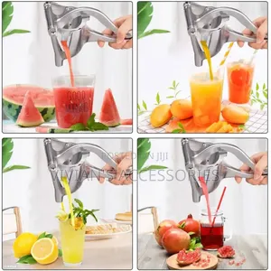 Aluminum Manual Fruit Press