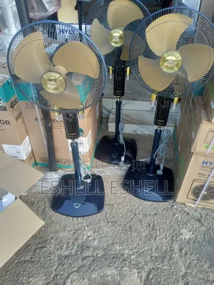 Panasonic Standing Fan With Twin Bulb