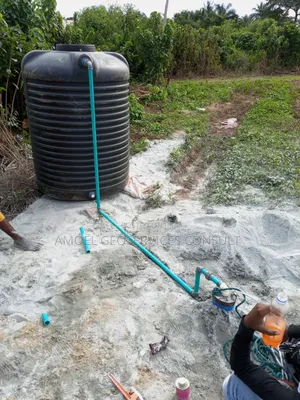 Borehole Drilling and Geophysical Survey