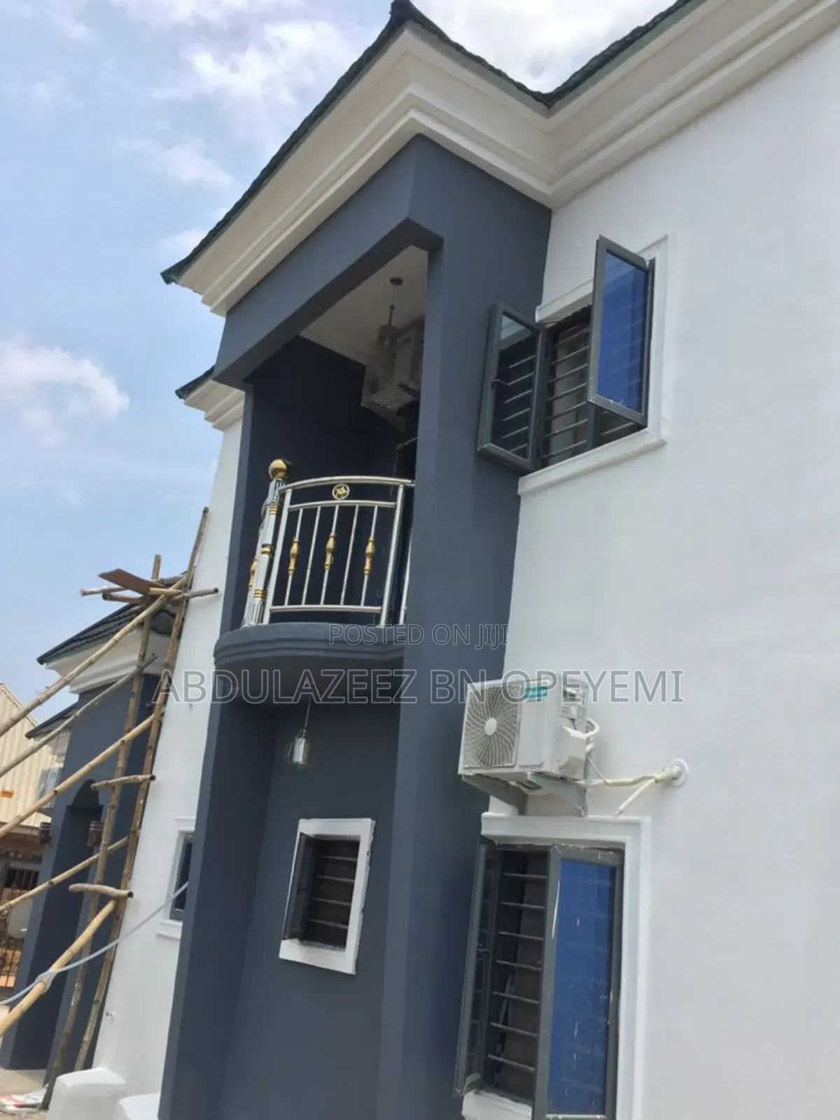Professional House Painter