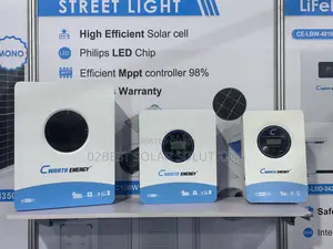 Cworth 15kwh Lifep04 Solid Battery