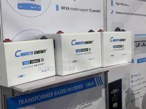 Cworth 15kwh Lifep04 Solid Battery