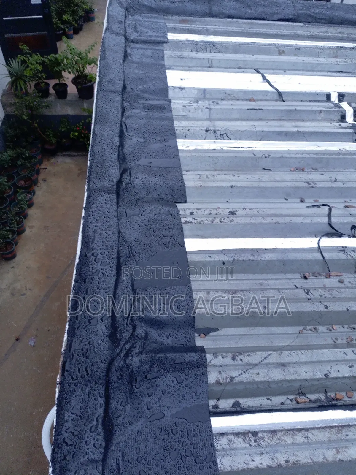 Epilambano Leak-Proofing Expert
