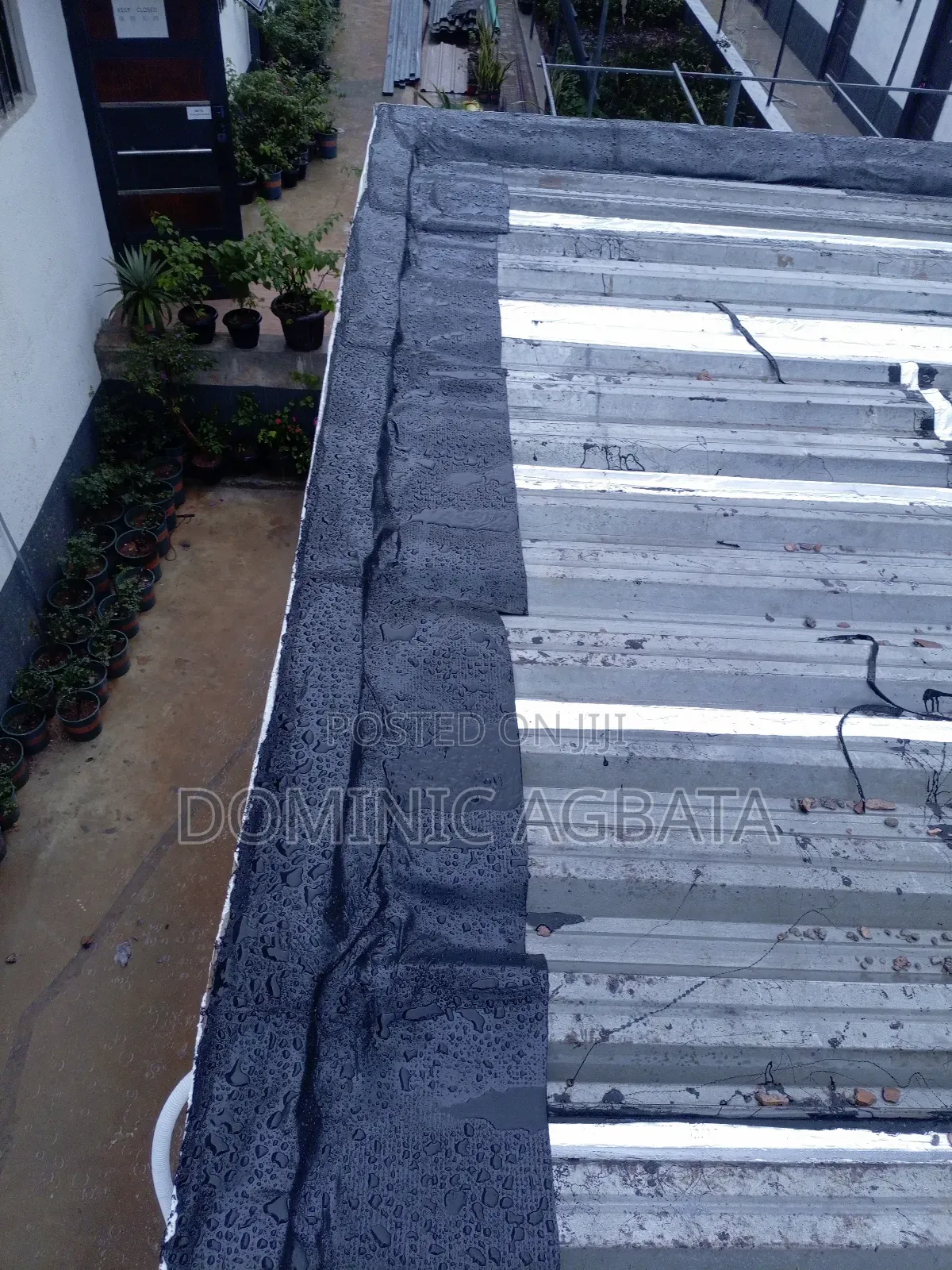 Epilambano Leak-Proofing Expert