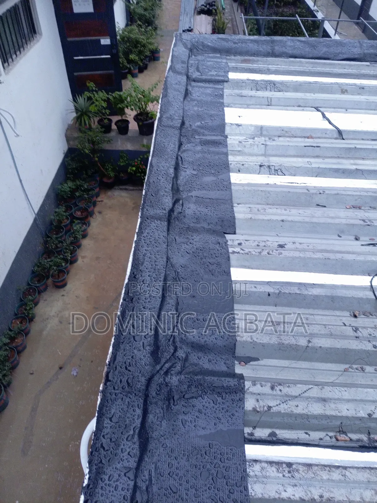Epilambano Leak-Proofing Expert