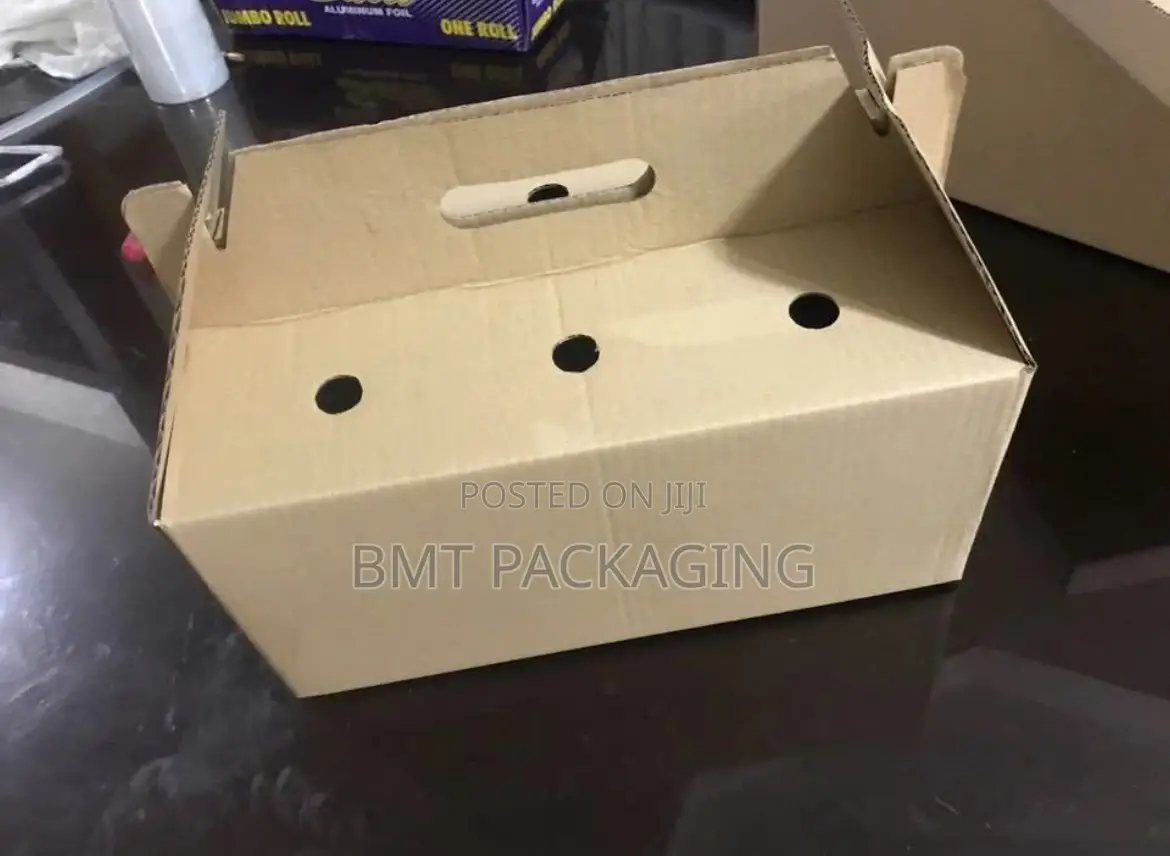 Plain Shaped Top Cartons With Handle