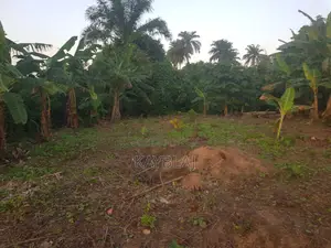 A Plot of Land for Sell