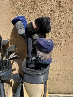Golf Sets of Ten to Twelve