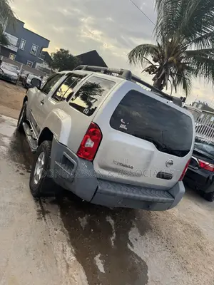 Nissan Pathfinder SE Off-road 2005 Silver