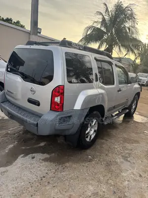 Nissan Pathfinder SE Off-road 2005 Silver