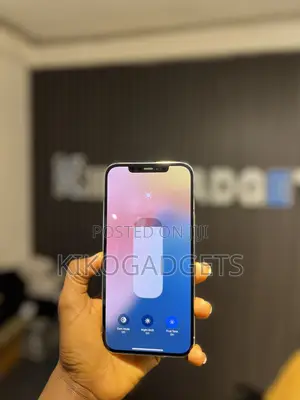 Apple iPhone 12 Pro Max 256 GB White