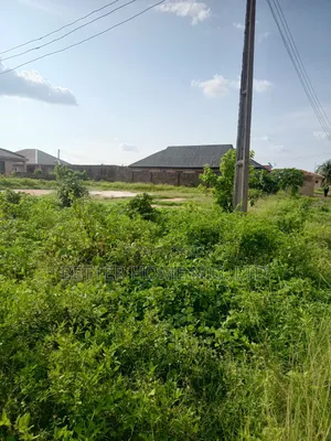 A Standard Plot of Land