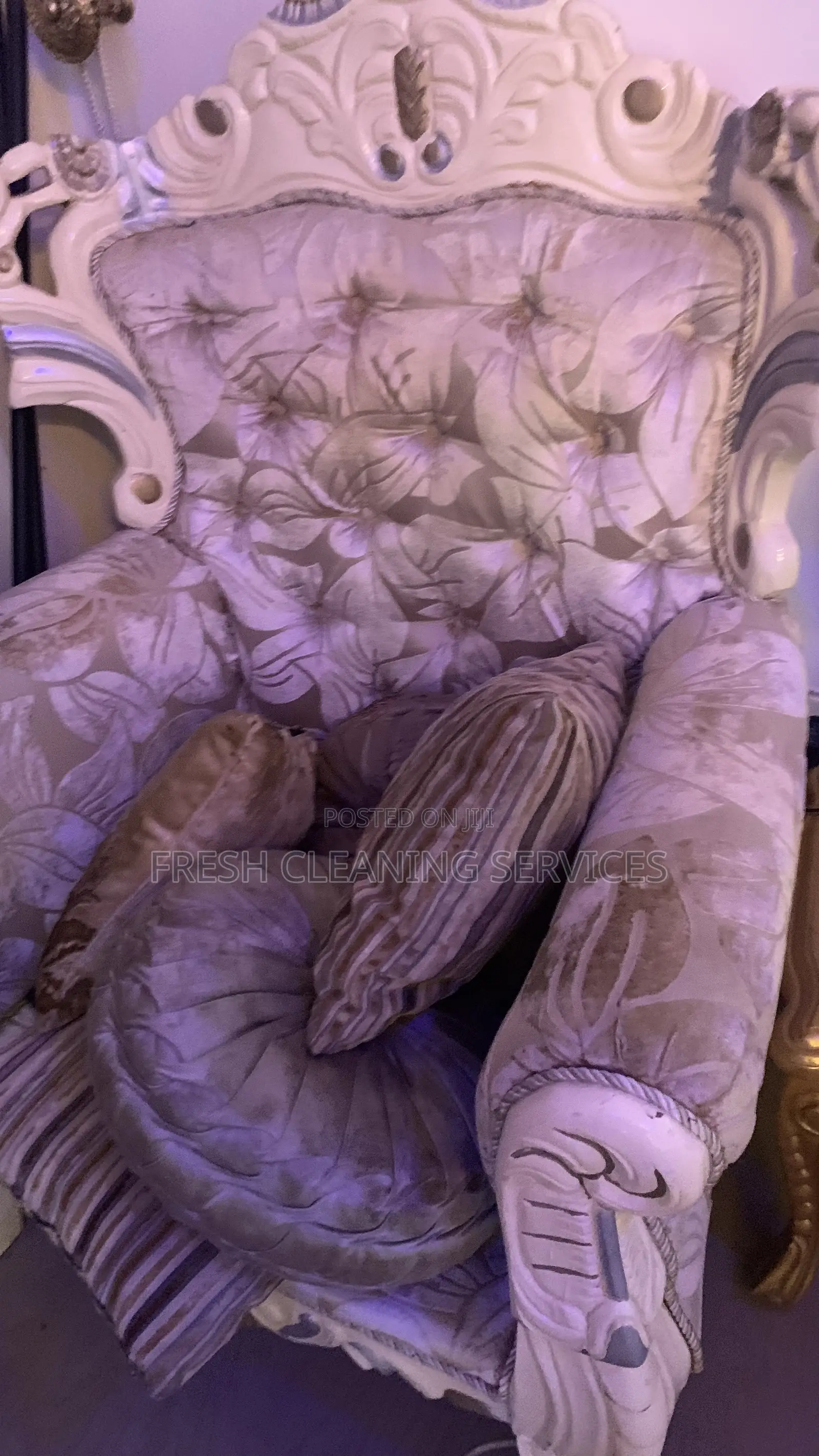 Revive Your Upholstery With Our Professional Cleaning Technique
