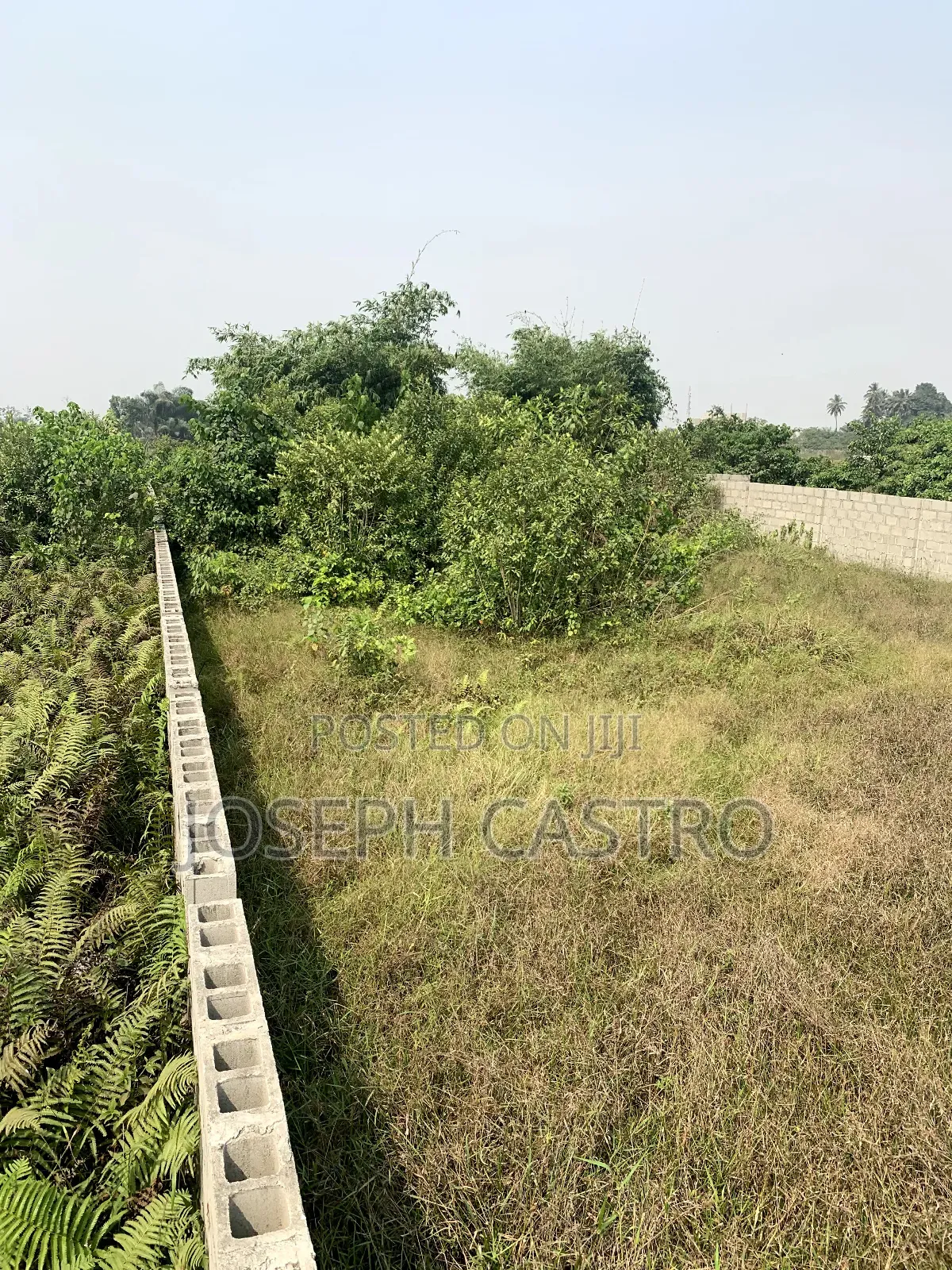 Plot of Land