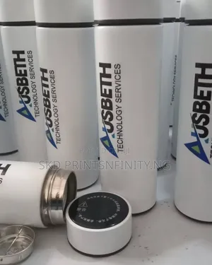 Temperature Water Bottle