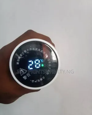 Temperature Water Bottle