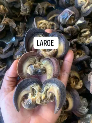 Dried Snail