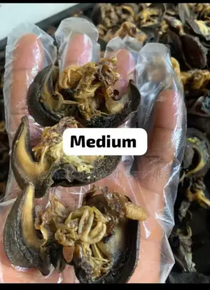 Dried Snail