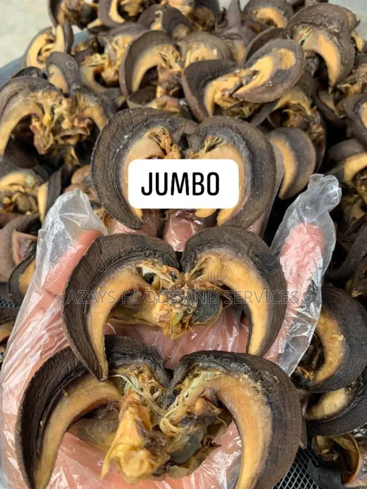 Dried Snail