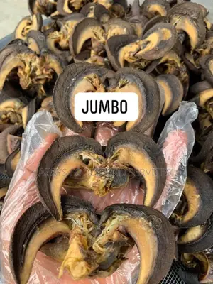 Dried Snail