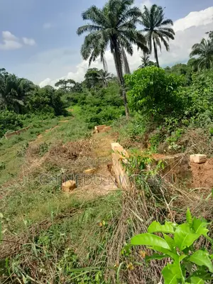 A Plot of Land for Sale