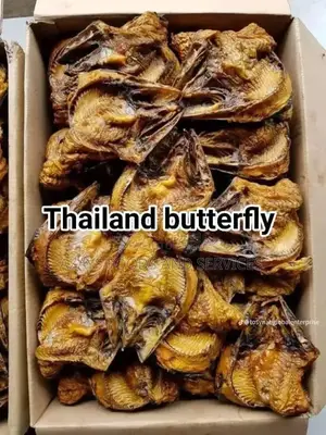 Thailand Butterfly Fish