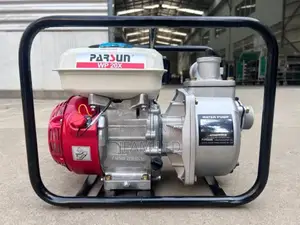 Parsun Irrigation Water Pump