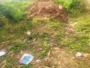 100 Hectares Land For Sale At Guzape 2, With R Of O For 20 Billion