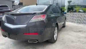 Acura TL Automatic SH-AWD 2009 Burgundy