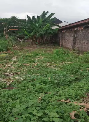 Land for Sale, Peanut Bus Stop, Sapele Road, Benin City