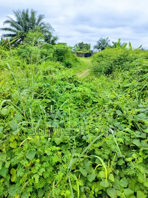 Distress Sale: 2080sqm Land for Sale at Shelter Afrique Estate, Uyo