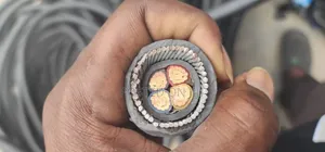 35mm2x4core Coleman Nigeria High Quality Electric Armoured Cable