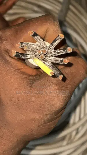 12core 2.5mm Flexible Wire