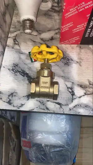 3/4 Top Choice Guage Valve