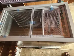 Snowsea Freezer