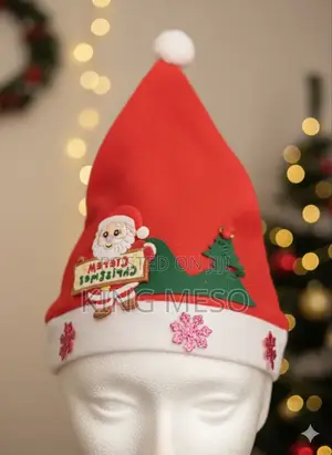 Beautiful Christmas Cap