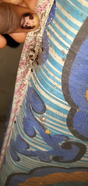 We Eliminate Bedbugs for Good