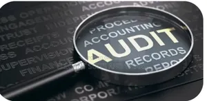 Accounting and Auditing Services. ( Small Businesses)