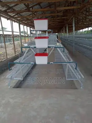 New Imported Layers Cages