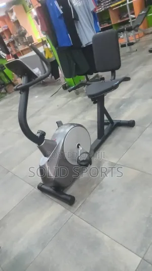 Original Recumbent Exercise Bike