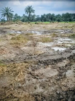88 Plot of Land Sale, Along Airport Road, Rupkokwu, Port Harcourt