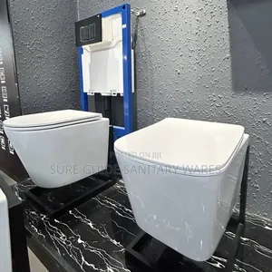 White Conceal Watercloset